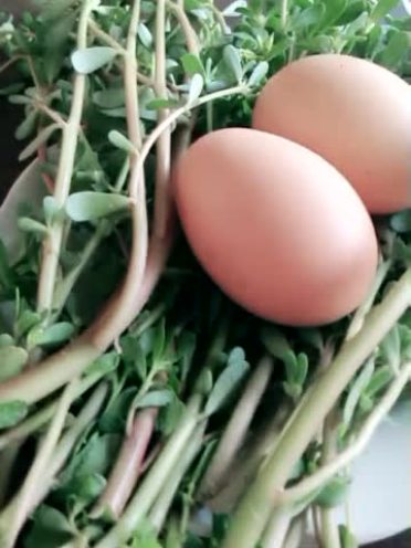 7个小偏方有效治痔疮