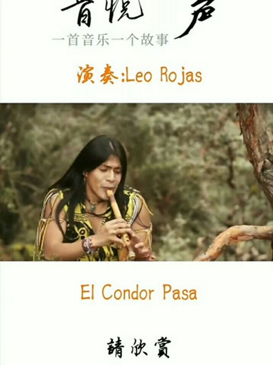 老鹰的叫声录音 搜狗搜索